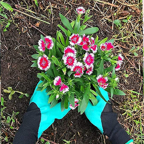 Claw Gardening Gloves for Planting